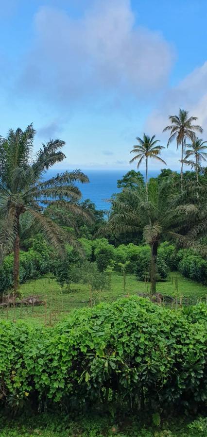 Casa Mae - Inn Principe Luaran gambar